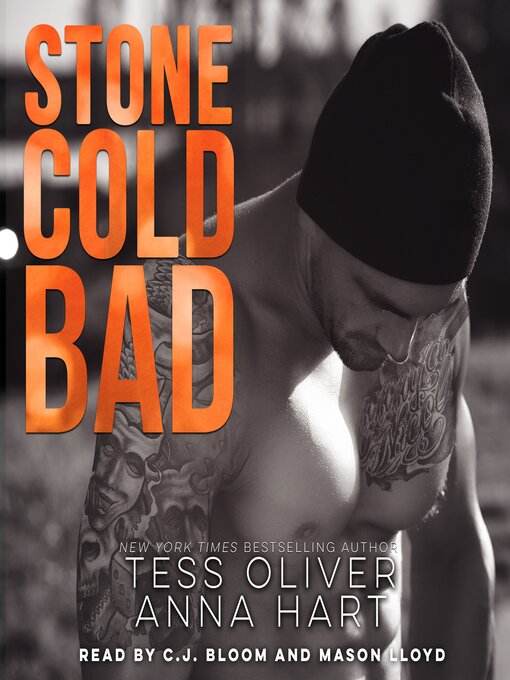 Title details for Stone Cold Bad by Tess Oliver - Wait list